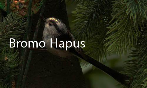Bromo Hapus Bukit Teletubies & Pasir Berbisik, Diganti Pakai Nama Asli