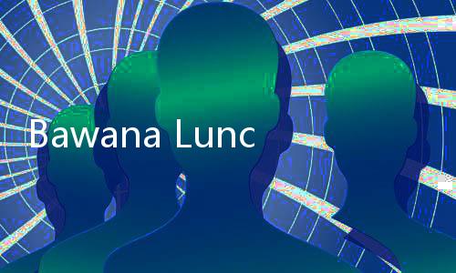 Bawana Luncurkan AI Role