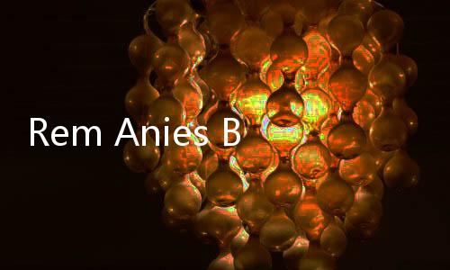 Rem Anies Berbuah Manis